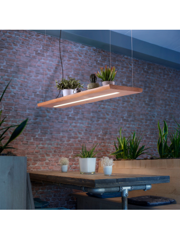 Lampa wisząca PALMA 2625-79