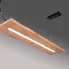 Lampa wisząca PALMA 2625-79