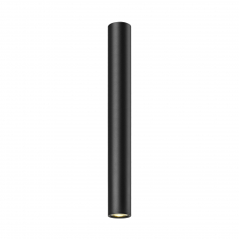 Lampa sufitowa LOYA C0461-01D-A0P7