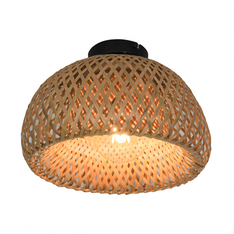 Lampa sufitowa JUNO CL16107-D30