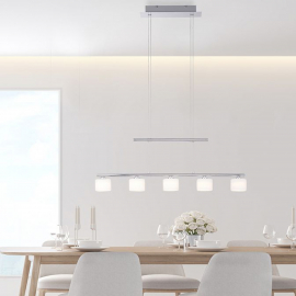 Lampa wisząca HYDRA 2209-55
