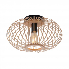 Lampa sufitowa RACOON 11410-79