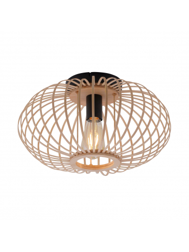 Lampa sufitowa RACOON 11410-79