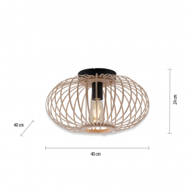 Lampa sufitowa RACOON 11410-79