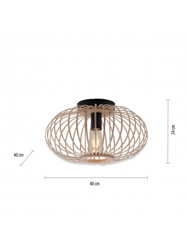 Lampa sufitowa RACOON 11410-79