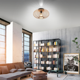 Lampa sufitowa RACOON 11410-79