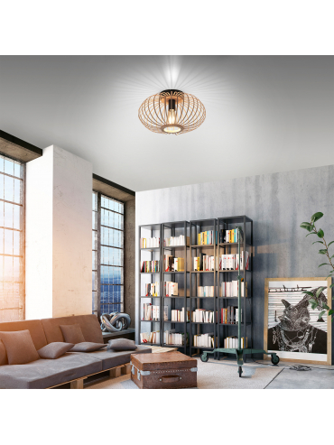 Lampa sufitowa RACOON 11410-79