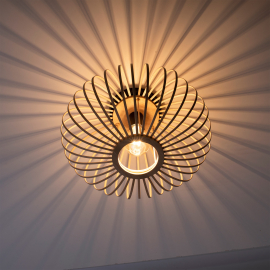 Lampa sufitowa RACOON 11410-79