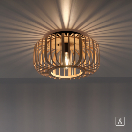 Lampa sufitowa RACOON 11412-79