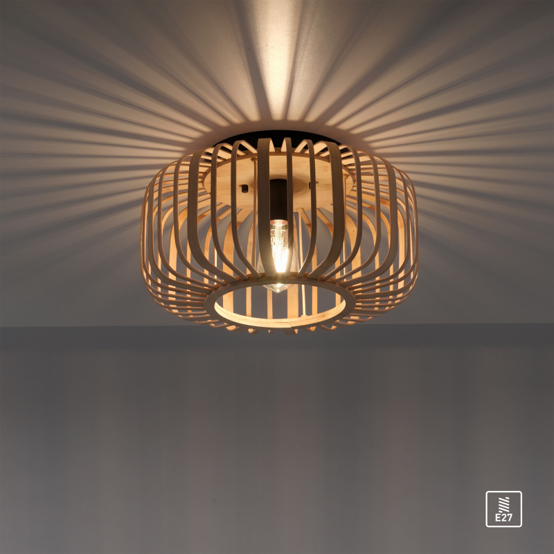 Lampa sufitowa RACOON 11412-79