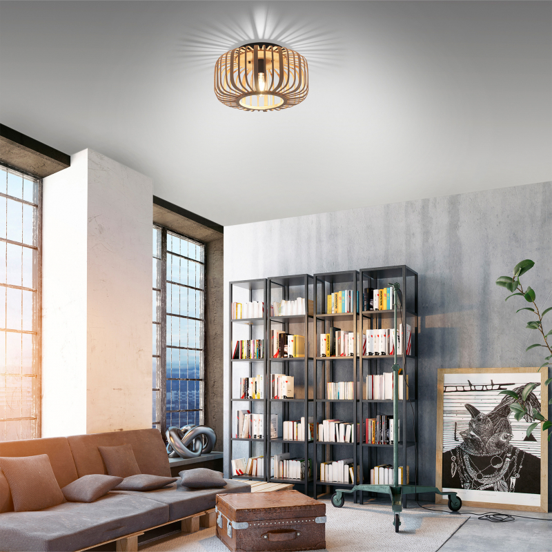 Lampa sufitowa RACOON 11412-79