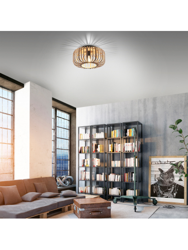 Lampa sufitowa RACOON 11412-79