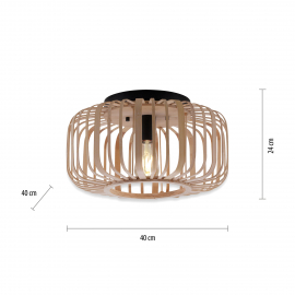 Lampa sufitowa RACOON 11412-79