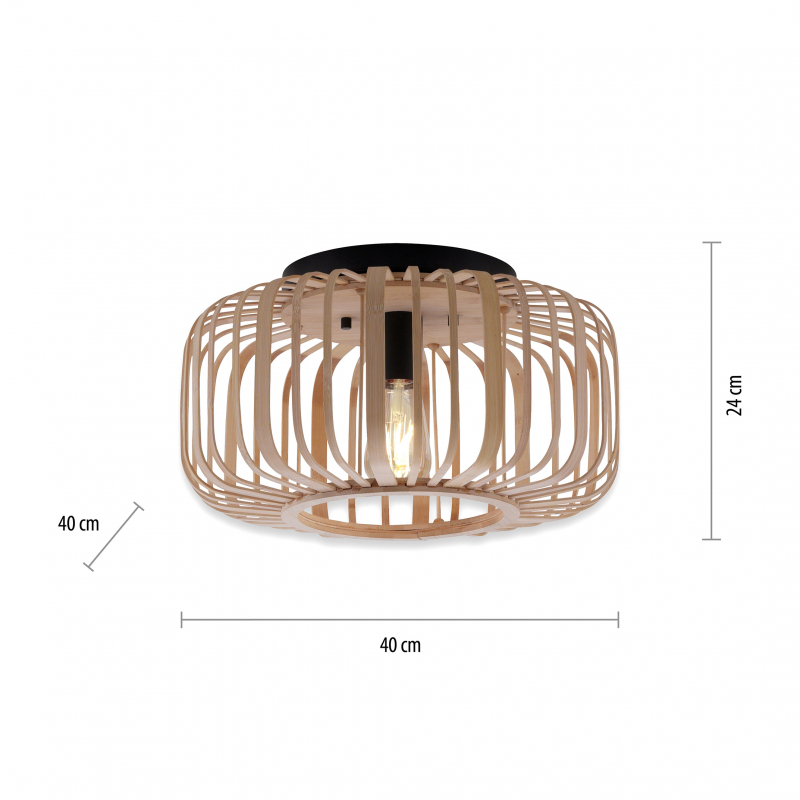 Lampa sufitowa RACOON 11412-79