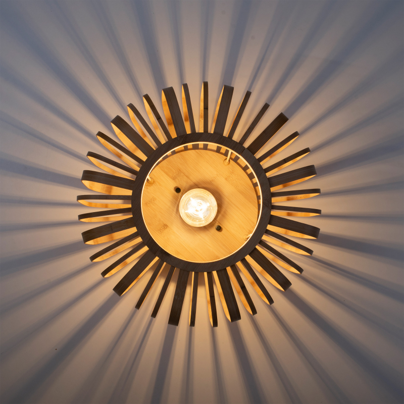 Lampa sufitowa RACOON 11412-79