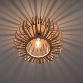 Lampa sufitowa RACOON 11412-79