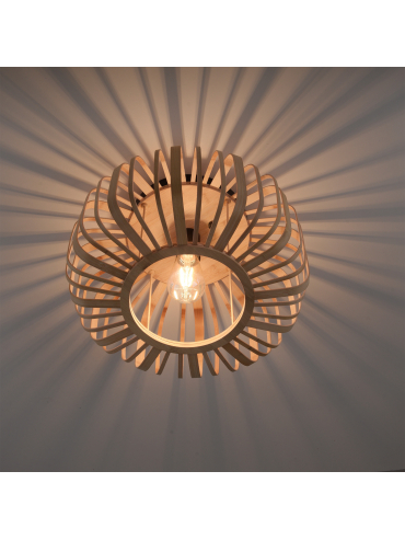 Lampa sufitowa RACOON 11412-79