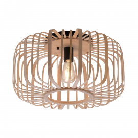 Lampa sufitowa RACOON 11413-79