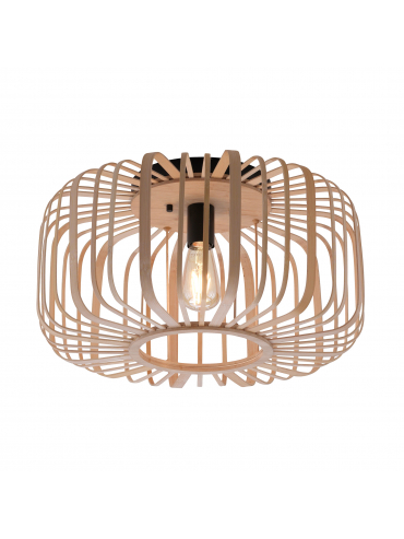 Lampa sufitowa RACOON 11413-79