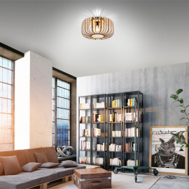 Lampa sufitowa RACOON 11413-79