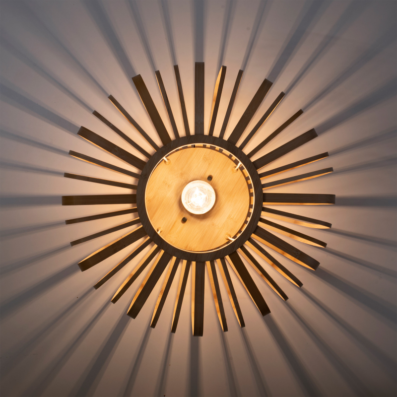 Lampa sufitowa RACOON 11413-79