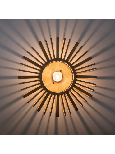 Lampa sufitowa RACOON 11413-79