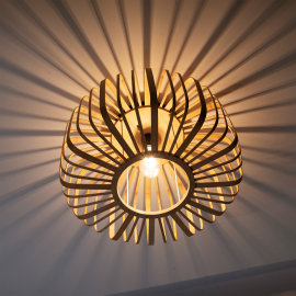 Lampa sufitowa RACOON 11413-79