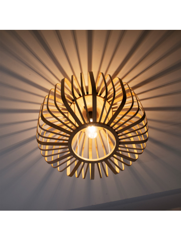 Lampa sufitowa RACOON 11413-79