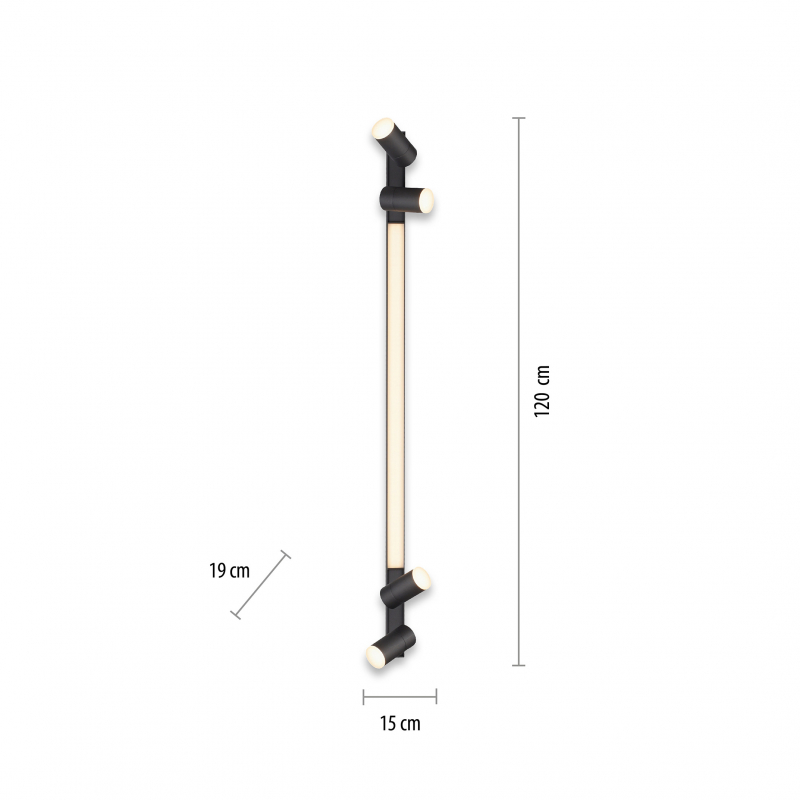 Lampa sufitowa PURE-LINES 6121-13
