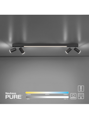 Lampa sufitowa PURE-LINES 6121-13