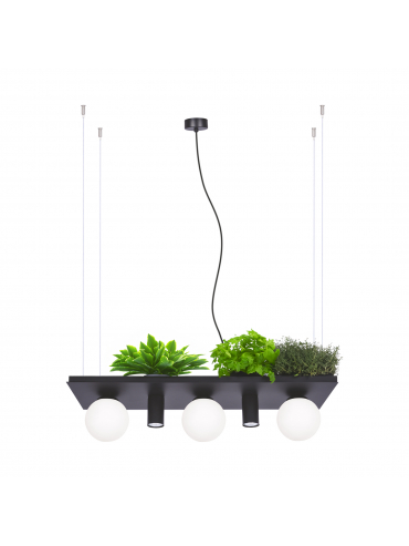 Lampa wisząca PLANT SHELF 5555