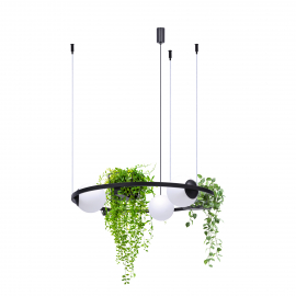 Lampa wisząca PLANT 3 5005