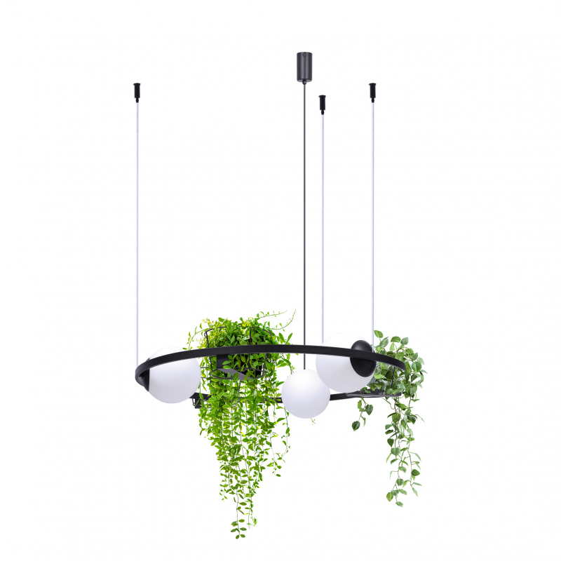Lampa wisząca PLANT 3 5005