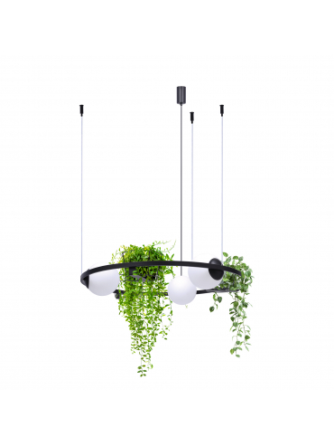 Lampa wisząca PLANT 3 5005