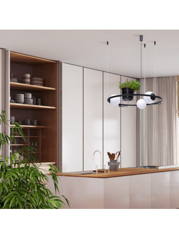 Lampa wisząca PLANT 3 5005