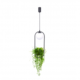 Lampa wisząca PLANT 1 5003