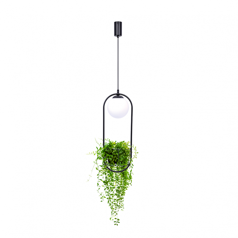 Lampa wisząca PLANT 1 5003