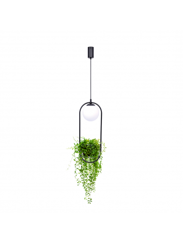 Lampa wisząca PLANT 1 5003