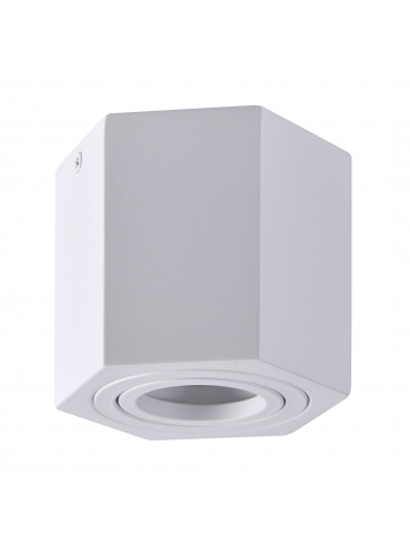 Spot HEXAGON 13171