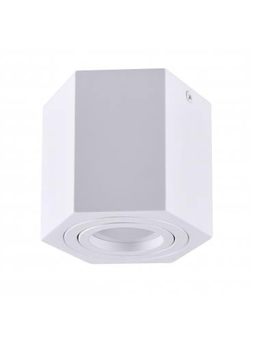 Spot HEXAGON 13171