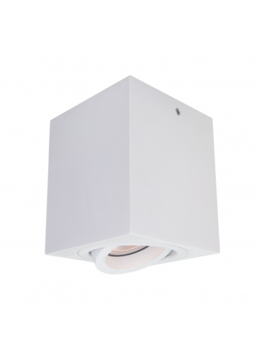 Spot natynkowy Emilio IT8004S1-WH