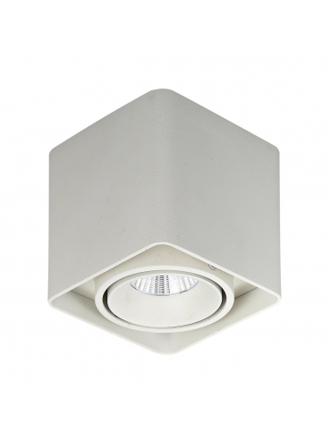 Spot natynkowy Bonnie SLC78004/10W WH