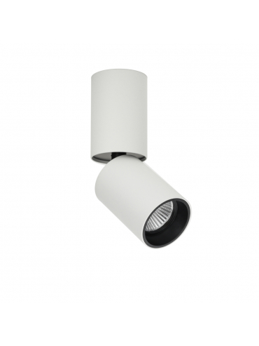 Spot natynkowy Camali CLN-88018-12W-L-3K