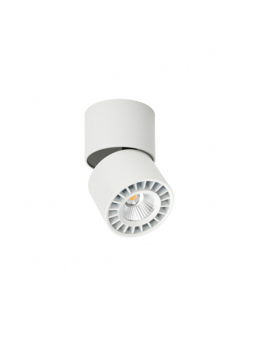 Spot natynkowy Herios CLN-97018-12W-L-3K