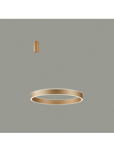 Lampa wisząca Brasco Up Down PND-56215D-060RPP-GD-3KS4K-TRDIMM