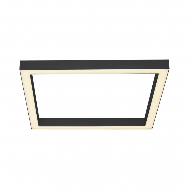 Lampa sufitowa PURE-LINES 6022-13