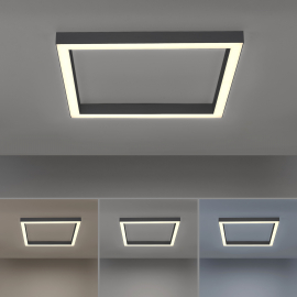 Lampa sufitowa PURE-LINES 6022-13