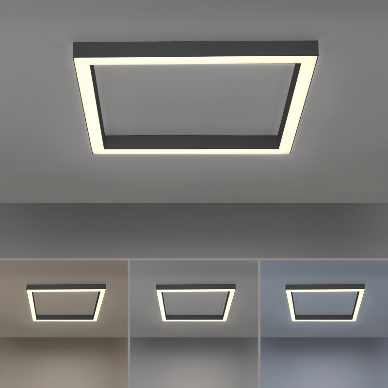Lampa sufitowa PURE-LINES 6022-13