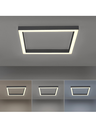 Lampa sufitowa PURE-LINES 6022-13