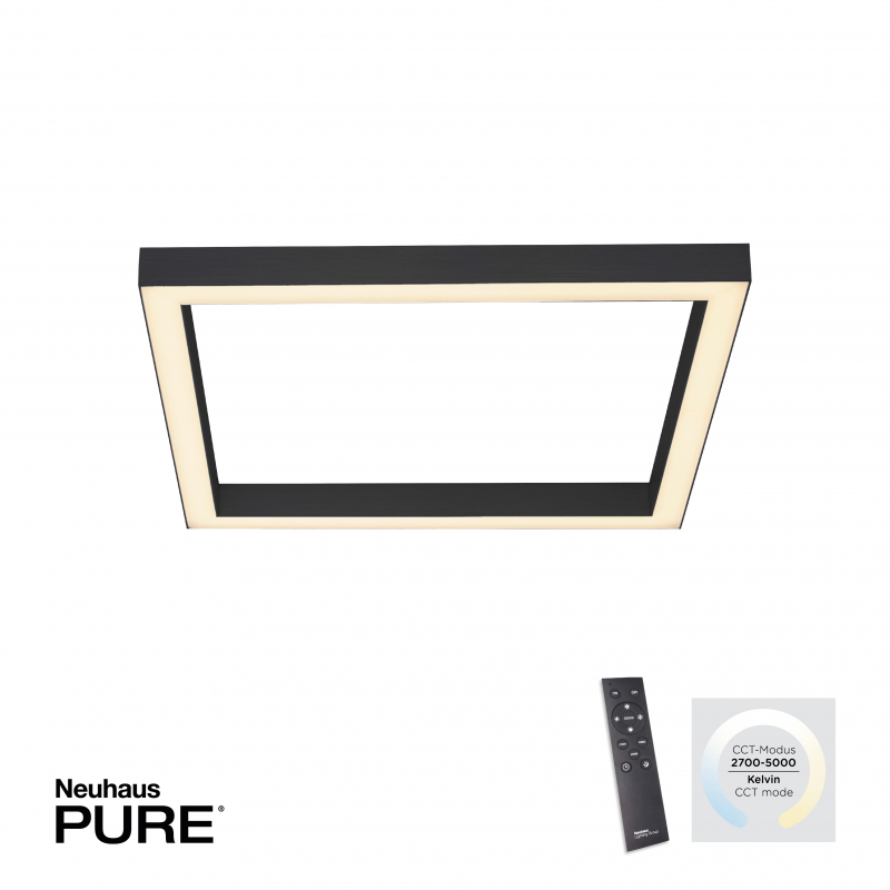 Lampa sufitowa PURE-LINES 6022-13